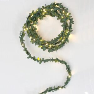 Lichtslinger Groene blaadjes 60 LED's 3 meter Ingebouwde timer Greenery