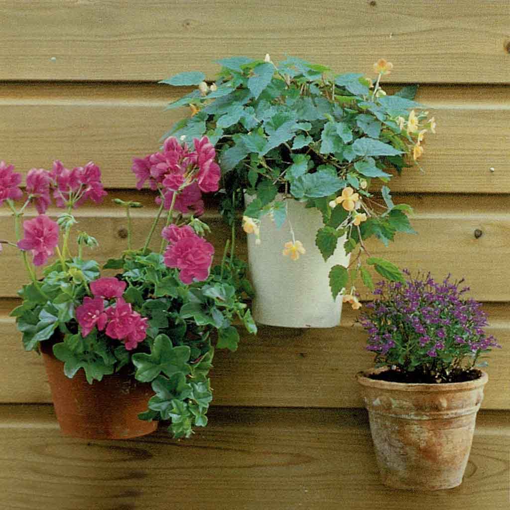 Jardinette - Verstelbare - Plant/ bloempot houder met onzichtbare wandmontage - Afbeelding 3