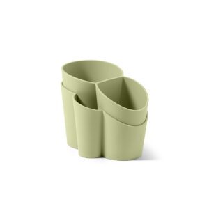 Eucalyptus groen