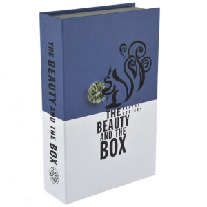Opbergboek The beauty and the box blauw