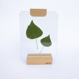 Fotolijst van glas en massief beukenhout RMdesign 21 x 14.5 x 5 cm