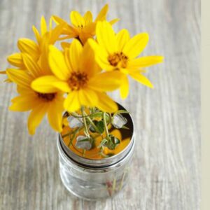 HappyTappi deksel voor bloemen + pot 500 ml