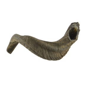 Decoratieve Ramshoorn - Licht en donker grijs - 30 cm