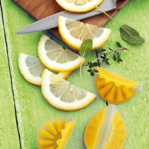 Citroenpers Lemonfriend