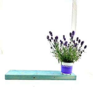 Wandplank voor binnen of buiten – Zwart gebeitst – L 55 x B 15 x H 3,5 cm